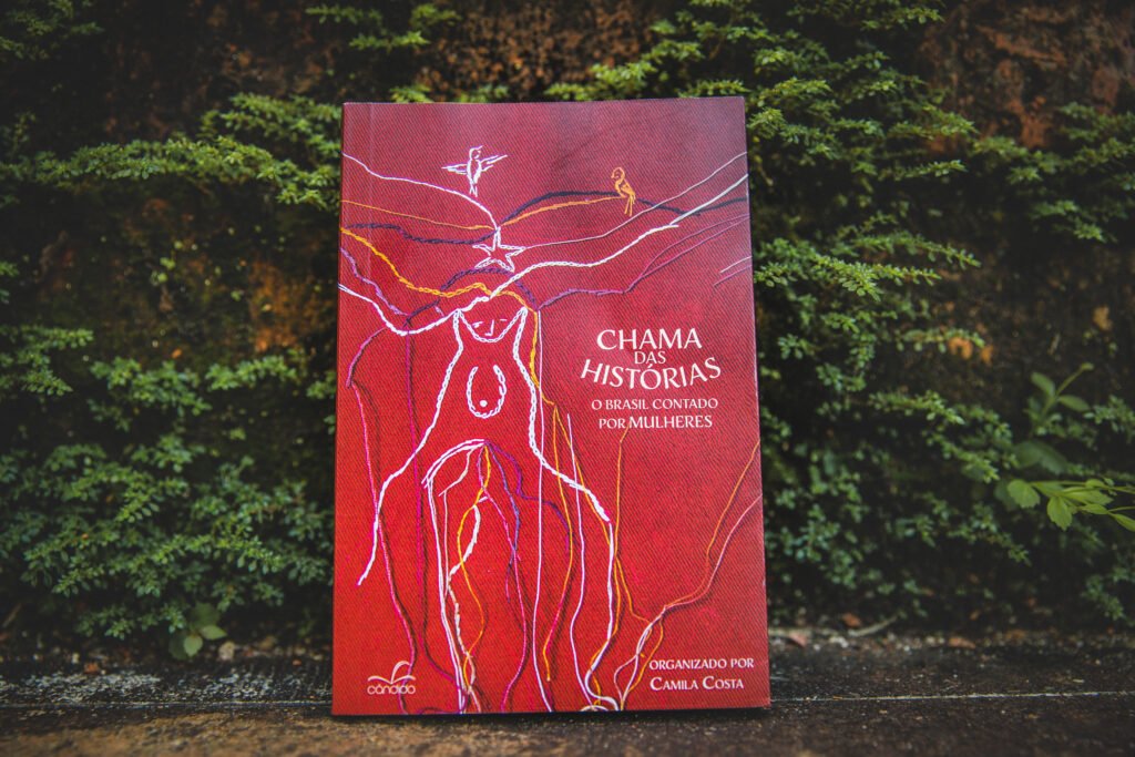 Capa do livro "A chama das histórias"