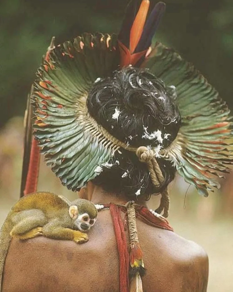 Há futuro sem os povos originários? 2 Povos Originários: Foto De Rosa Gauditano De Uma Pessoa Indígena Com Um Animal Silvestre No Ombro