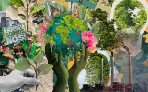 A urgência da educação socioambiental no olhar da Educação Popular